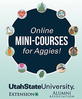 Online Mini-Courses for Aggies 