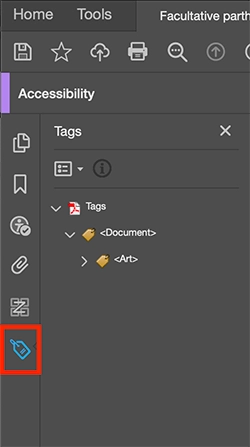Tag icon at the bottom of the Navigation Pane in blue, highligted in a red box.