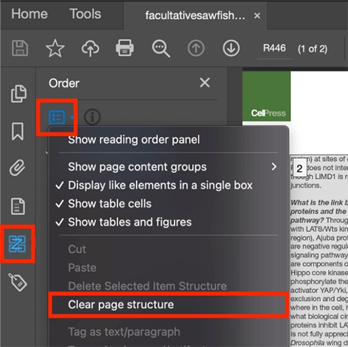 Clear page structure option under the options menu in the order tool.