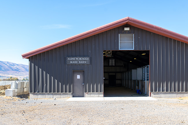 Aline W. Skaggs Mare Barn