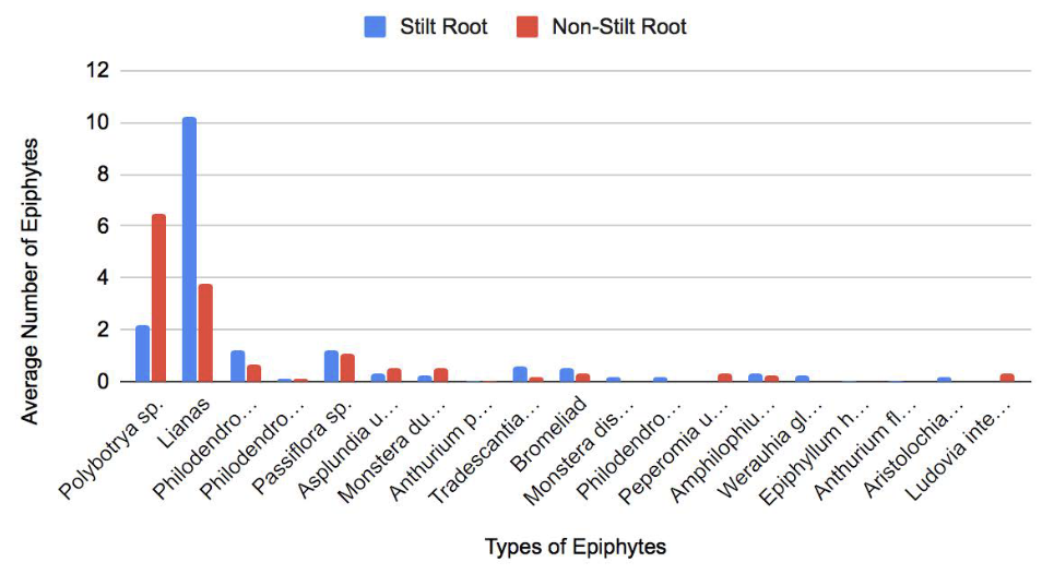 A bar graph of the average number of Epiphytes split by whether they have stilt roots or non-stilt roots.