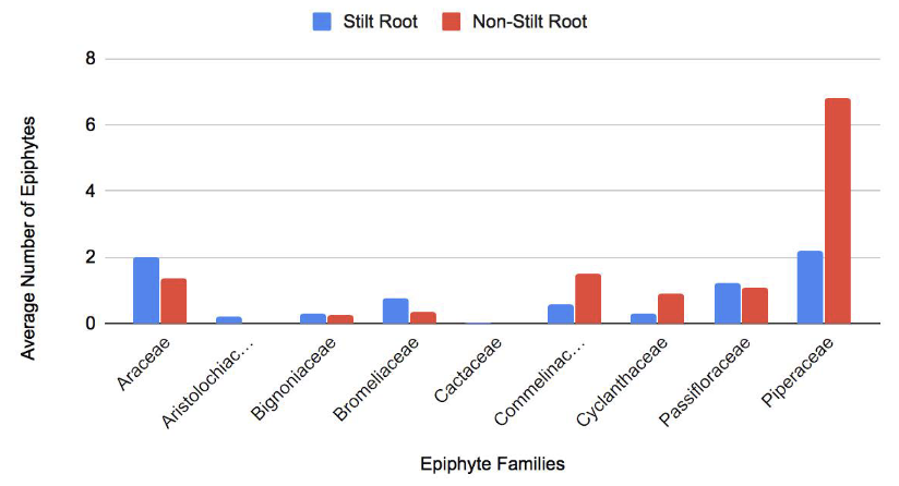 A bar graph of the average number of Epiphytes split by whether they have stilt roots or non-stilt roots.