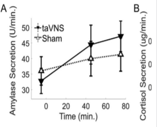 Time compared to Amylase Secretions.  taVNS increase quick than Sham.