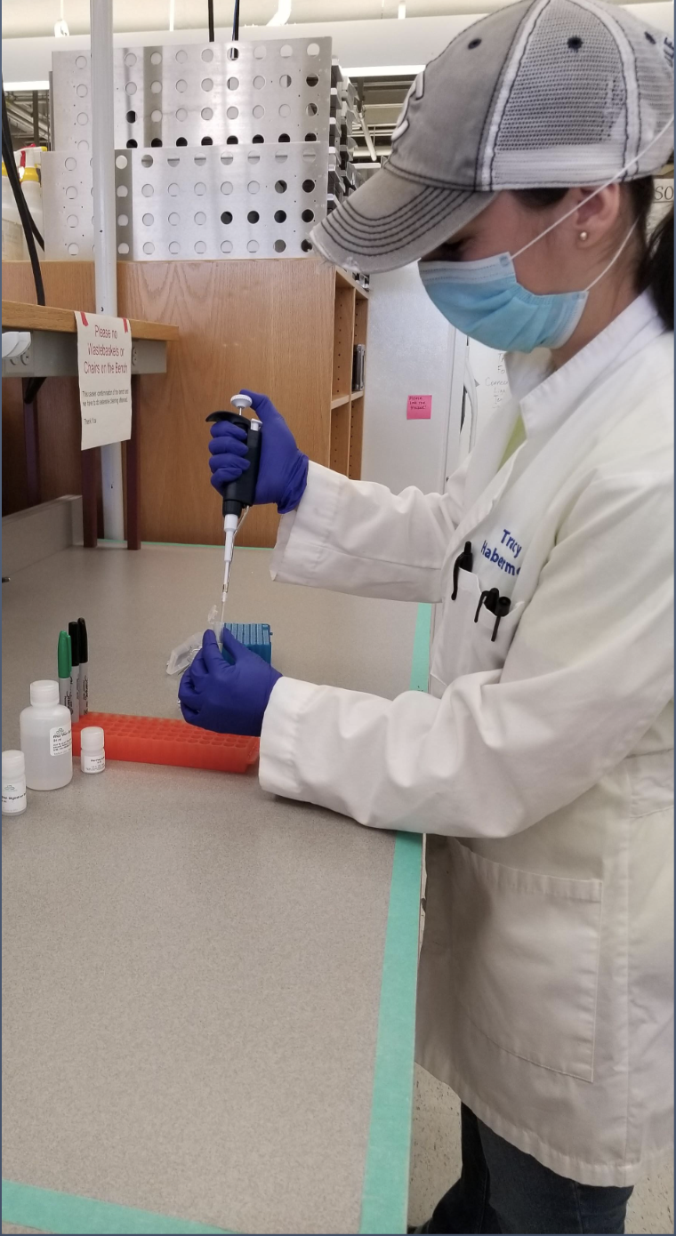 A researcher performing an assay in a lab.