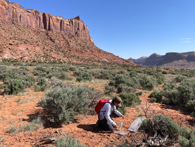 kulmatiski grad doing roots research in the desert