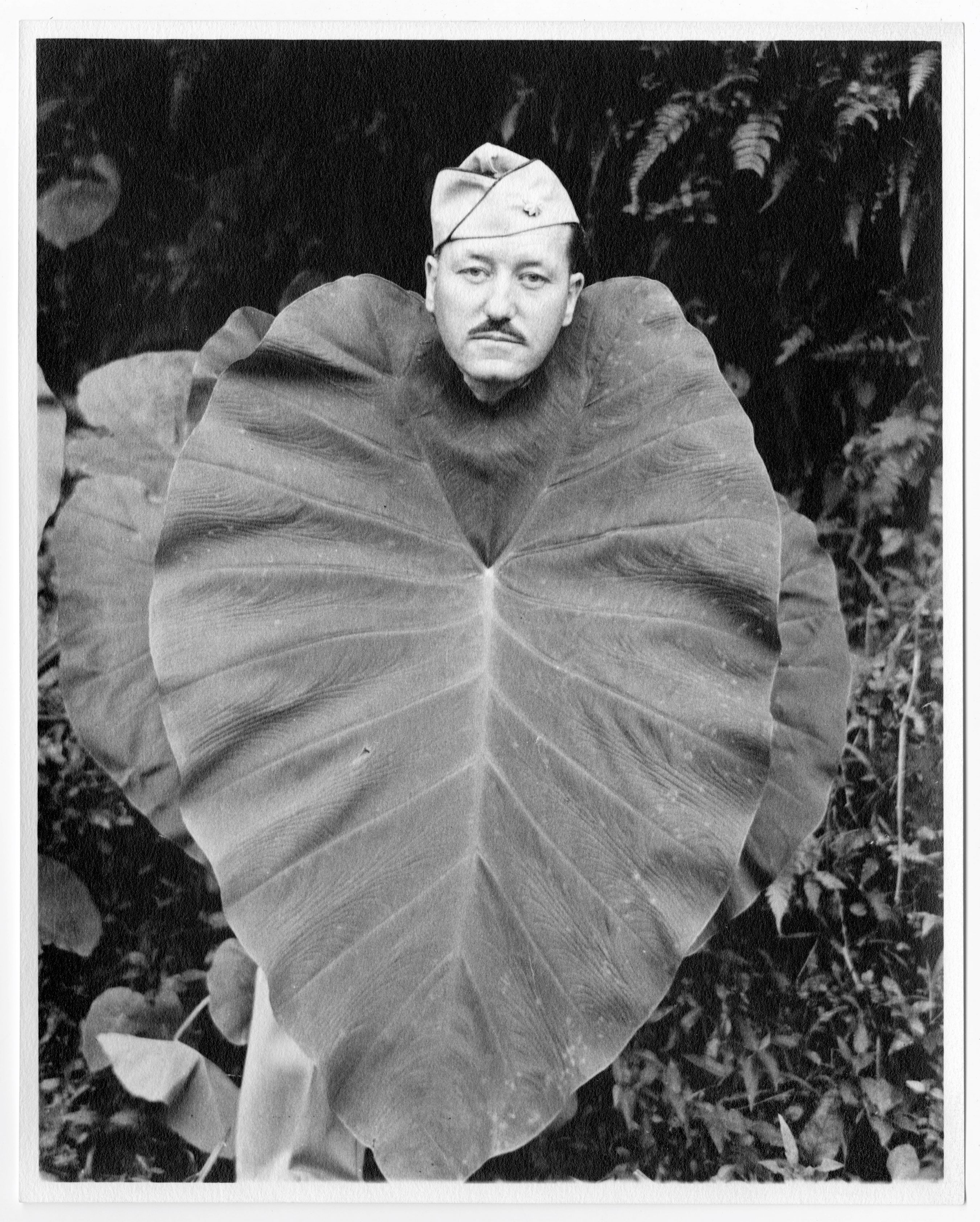 Cooley with leaf