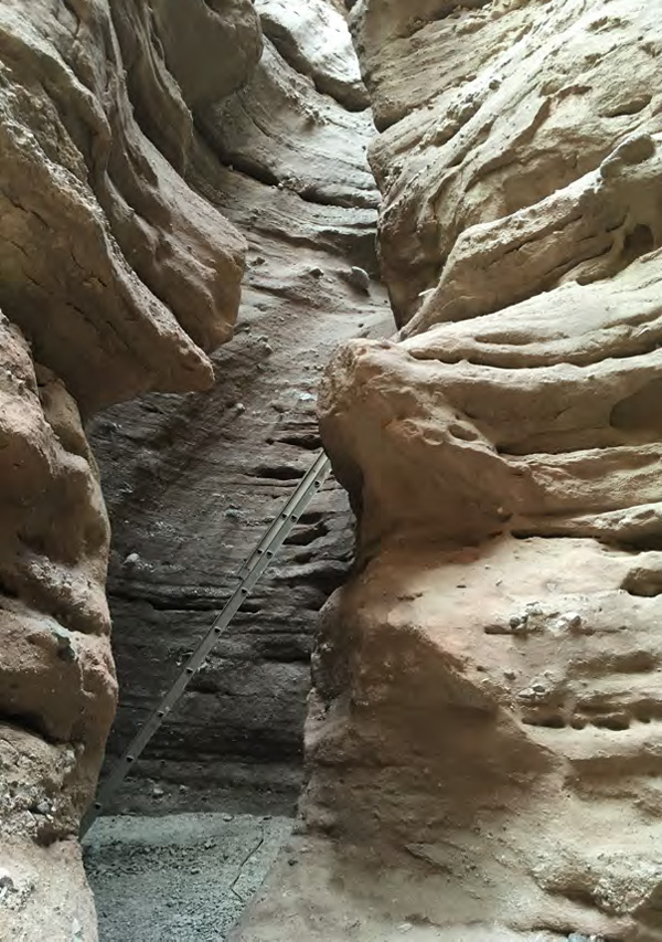 Ladder in canyon