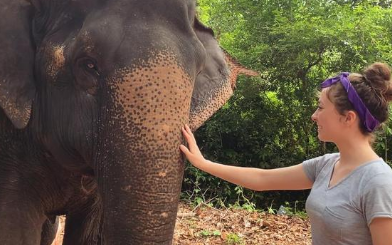 USU Alumnus Sydney Metcalf strokes the trunk of an elephant