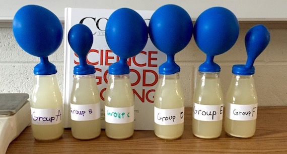 beakers containing yeast and balloons