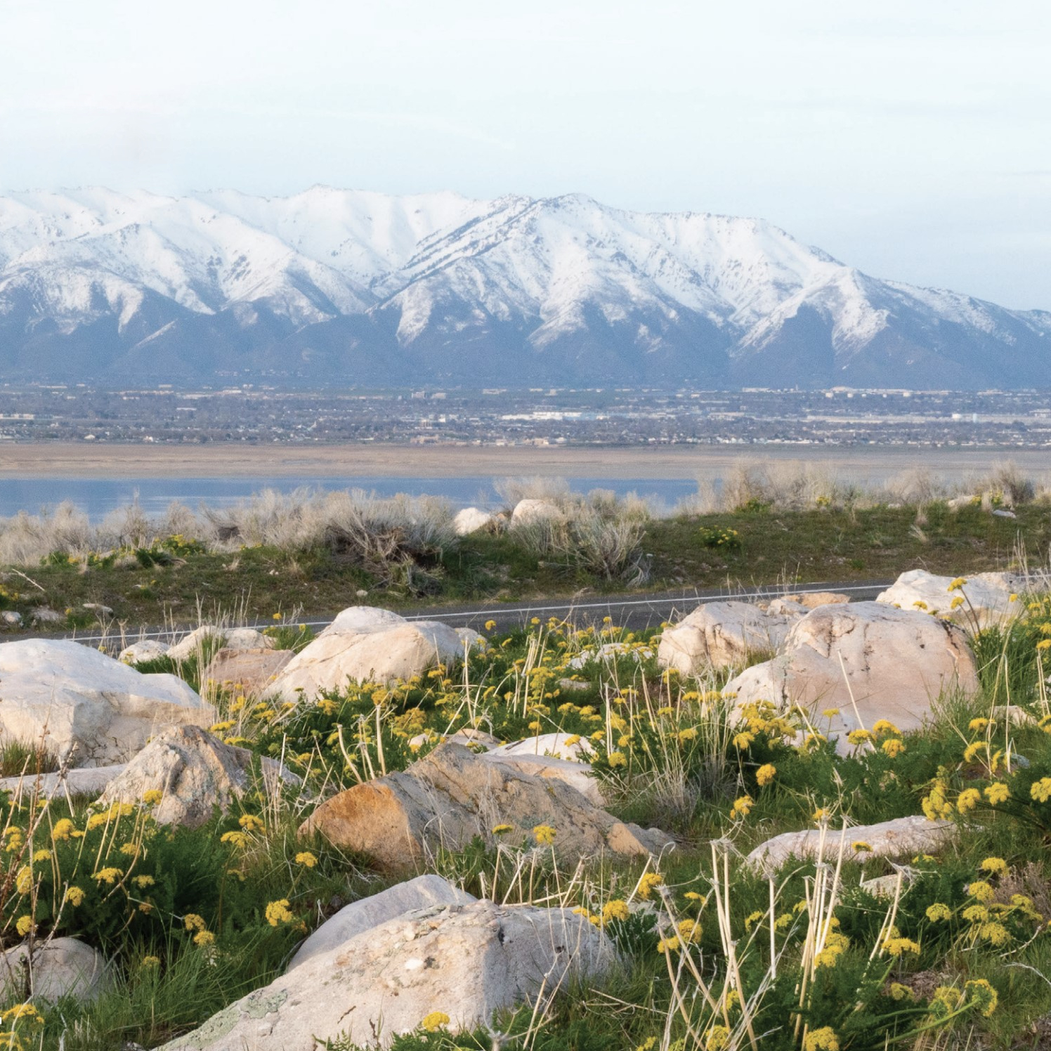Wasatch Mountain Range from Antelope Island State Park