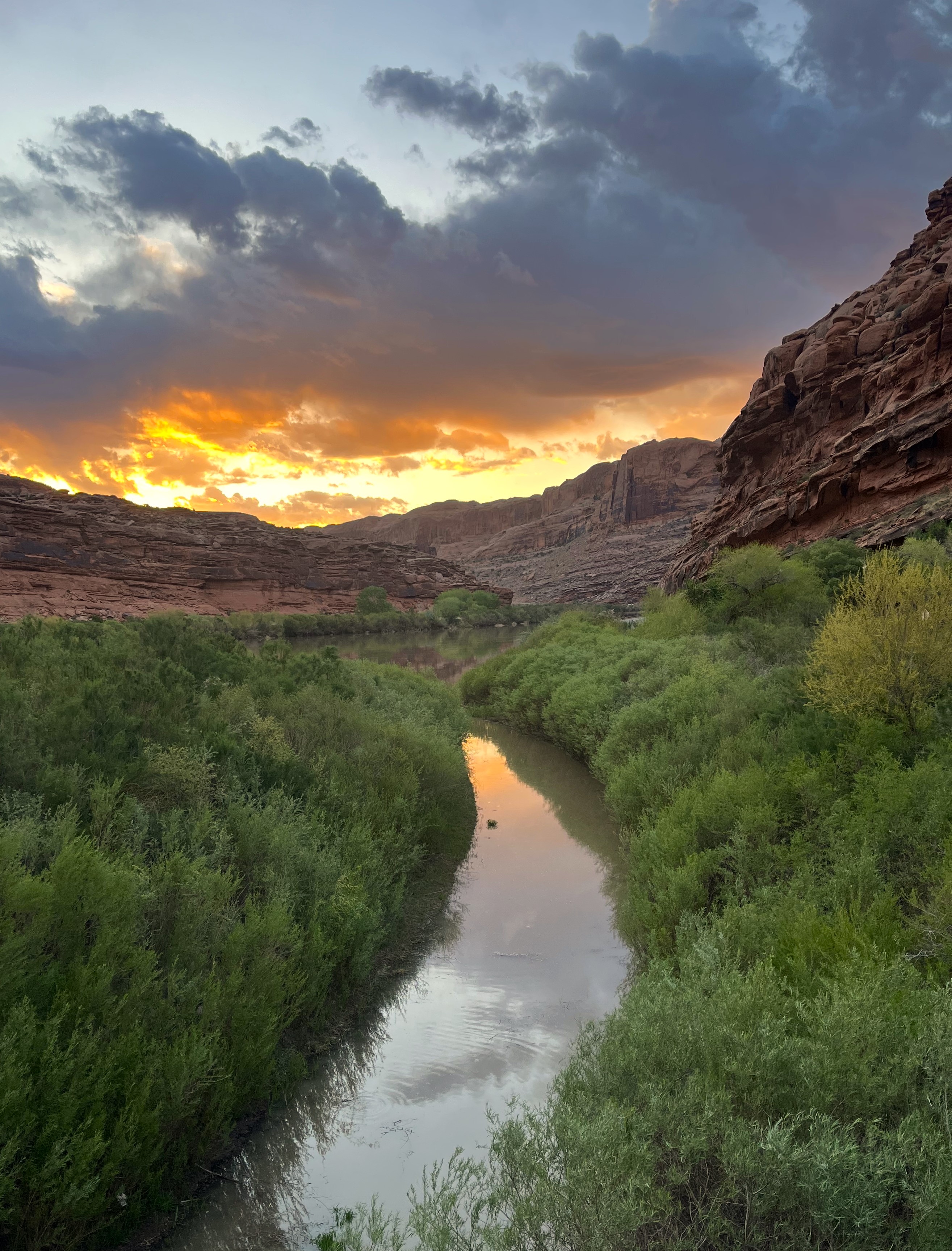 a sunset over the colorado river, highlighting the red rock cliffs with orange with green vegetation along each bank