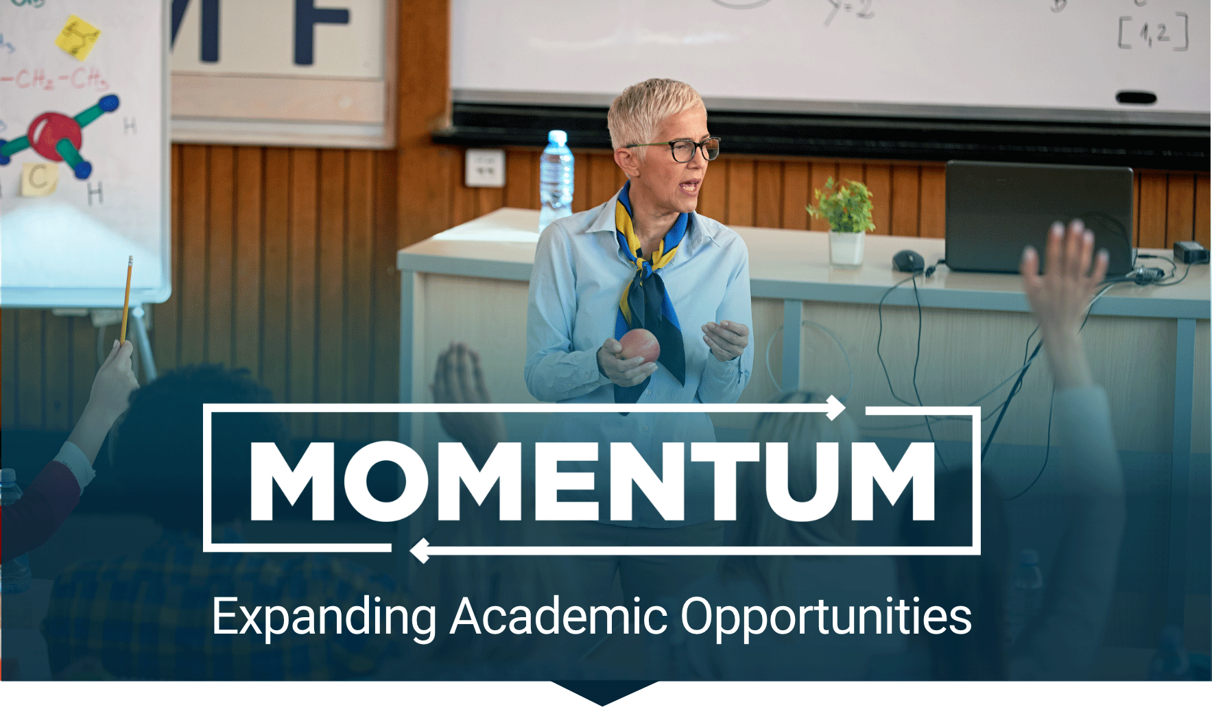 Academic Partnership Hub | Momentum