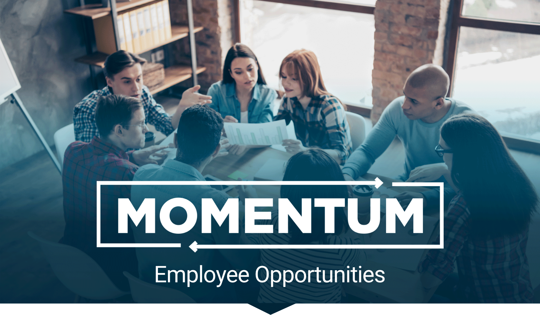 Momentum | Employee Development | Momentum