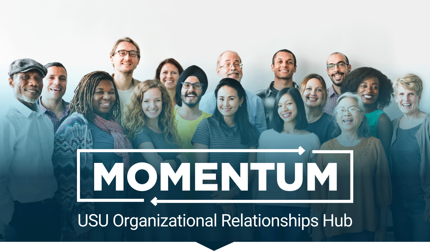 Momentum USU Online Partnership Hub