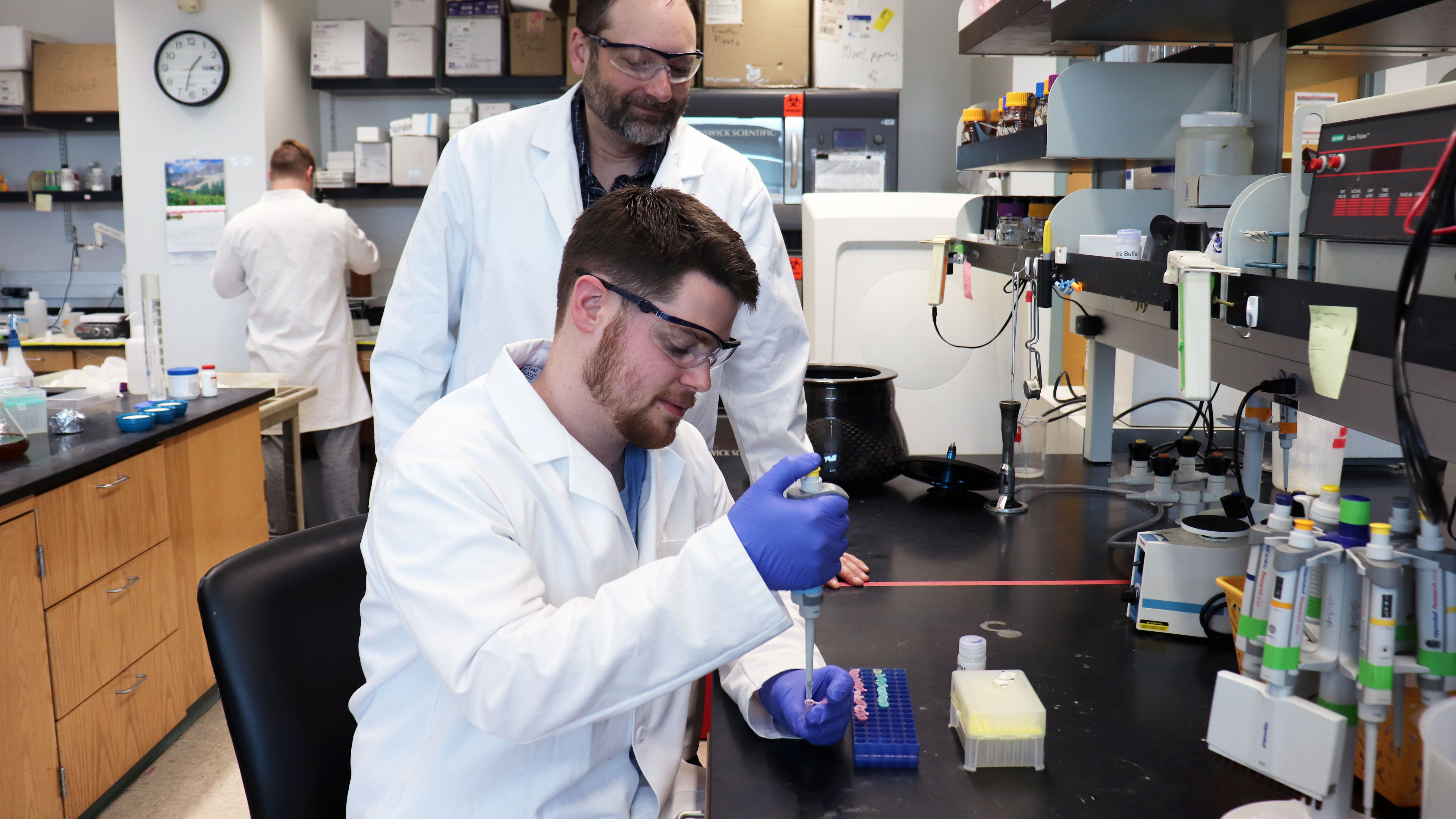 Strength in Numbers: USU Undergrad Biochemistry Researcher Studies Bacterial Processes