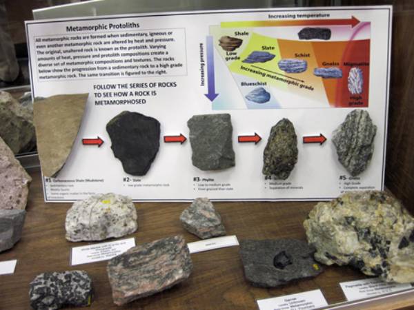 USU Geology Museum