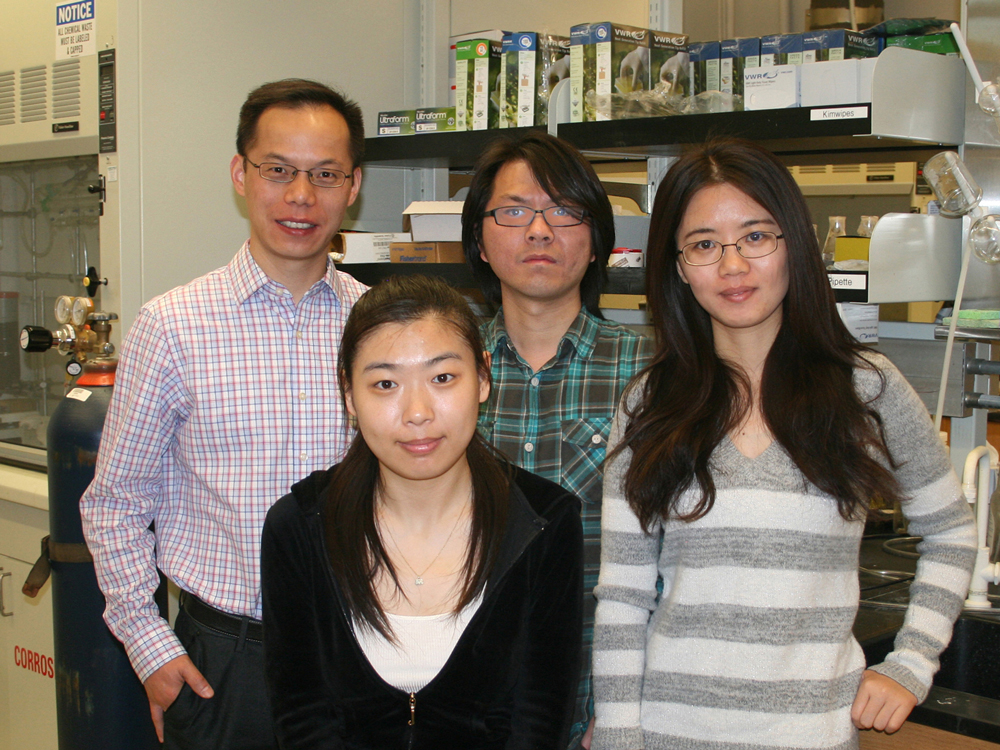 Dr. Yujie Sun with fellow researchers