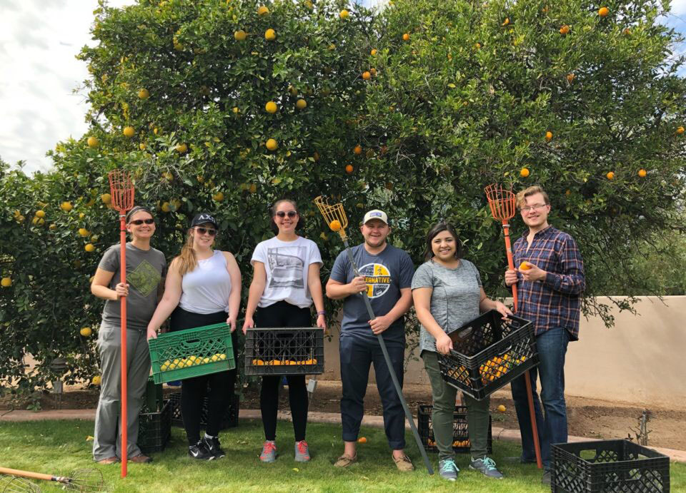 students with citrus trees
