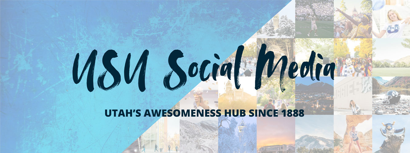 Social Media Hub montage