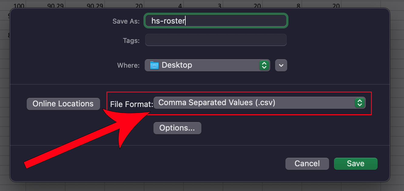 Save as preview with File Format: Comma Separated Values (.csv)
