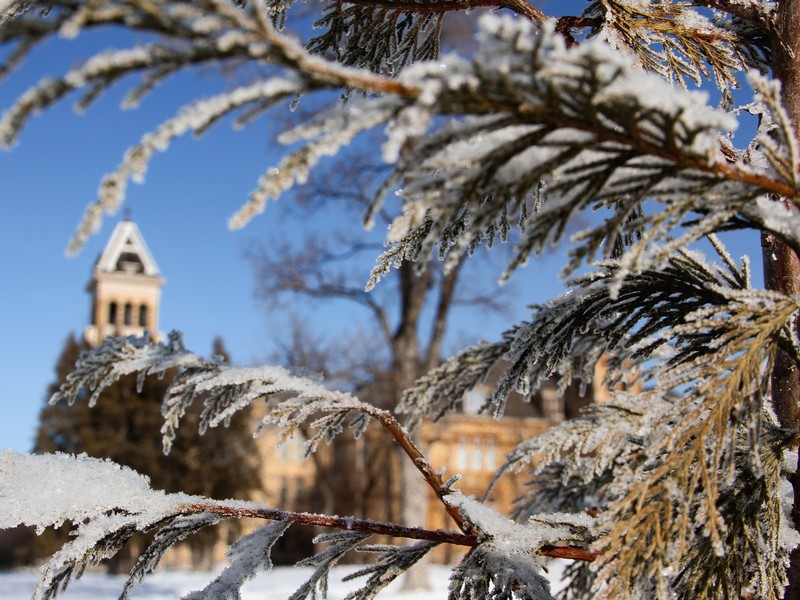 An image of Old Main through a frosted tree.