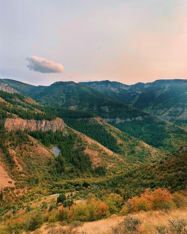 Landscape view of fall colors in Logan Canyon