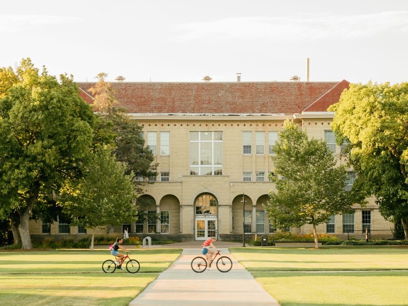 Students ride their bicycles across the quad during an August evening.