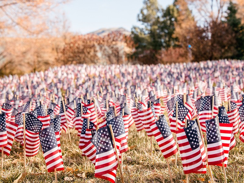 hundreds of U.S. flags on campus to honor Veteran's Day