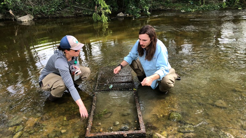 UWRL Grad Student Megan DiNicola and a biologist from the San Antonio River Authority