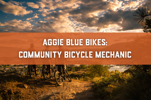 AGG Community Bicycle Mechanic Icon