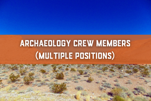 Archaeology Crew Member