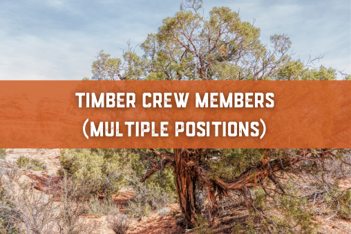 Timber Crew Icon