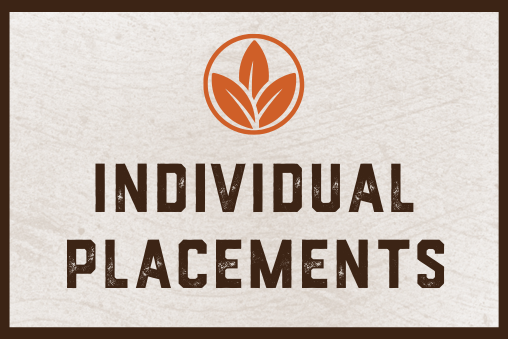 Individual Placement Onboarding Icon