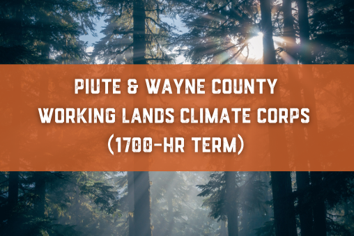 Piute Wayne County Icon