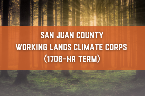 San Juan County IP Icon