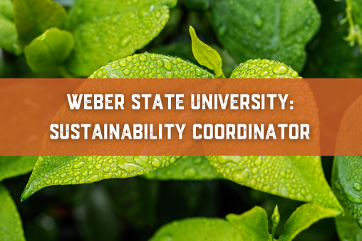 WSU Sustainability Icon