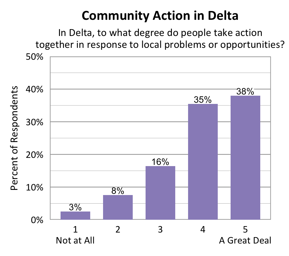 Bar chart. Title: Community Action in Delta. Subtitle: In Delta, to what degree do people take action together in response to local problems or opportunities? Data - 1 Not at All: 3% of respondents; 2: 8% of respondents; 3: 16% of respondents; 4: 35% of respondents; 5 A Great Deal: 38% of respondents